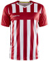 PROGRESS 2.0 STRIPE JERSEY