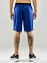 PROGRESS 2.0 SHORTS